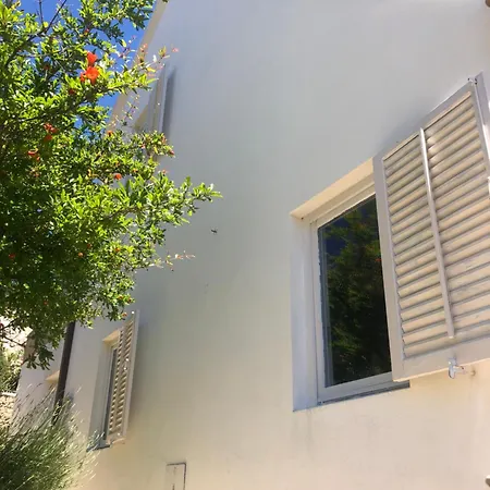 3 A-10, A-11 And A-12 , 4-4-6 Beds Apartment *